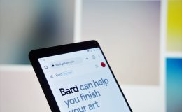 Picture of a user using Google's Bard search AI on their phone